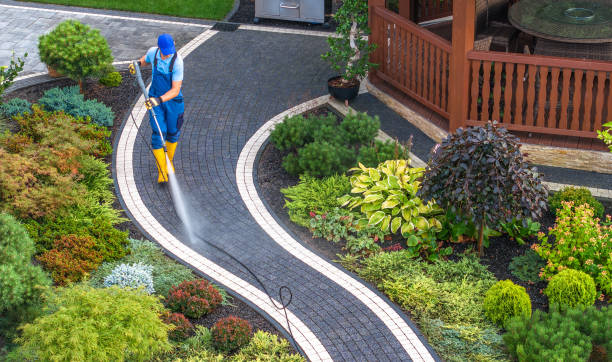 Best Local Pressure Washing Services  in Marion, TX