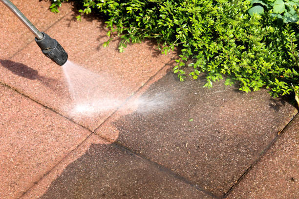 Best Pressure Washing Near Me  in Marion, TX